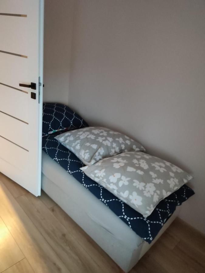 Farma U Irka Daire Rybarzowice  Dış mekan fotoğraf